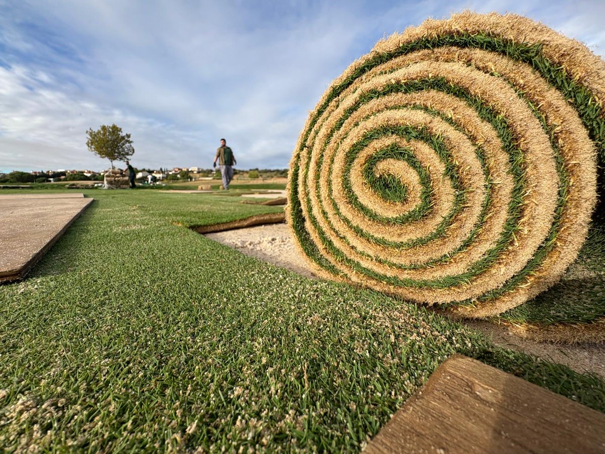 Novogreen tweet media