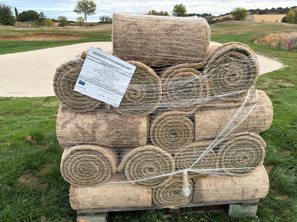 Novogreen tweet media