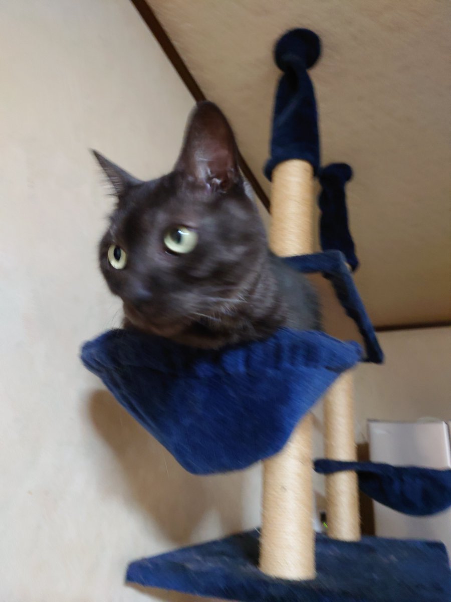 まつ (@zx636fgf) / Posts / X