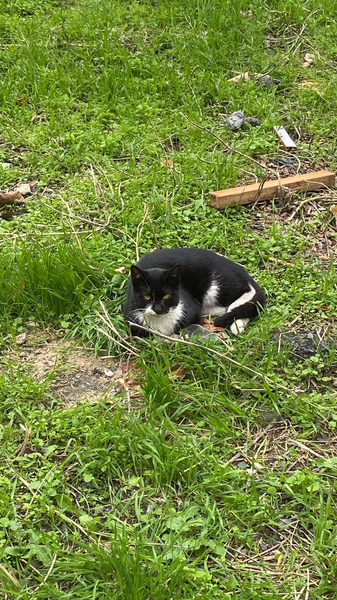 1 bacağı kırık aylardır yardım bekliyor ne belediye ne ilçe yardımcı olmuyor <a href="/IBBcozummerkezi/">İBB Çözüm Merkezi</a> <a href="/BagcilarBld/">Bağcılar Belediyesi</a>