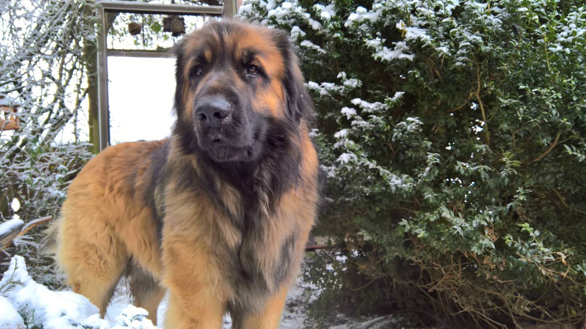 Reinerla.x tweet media