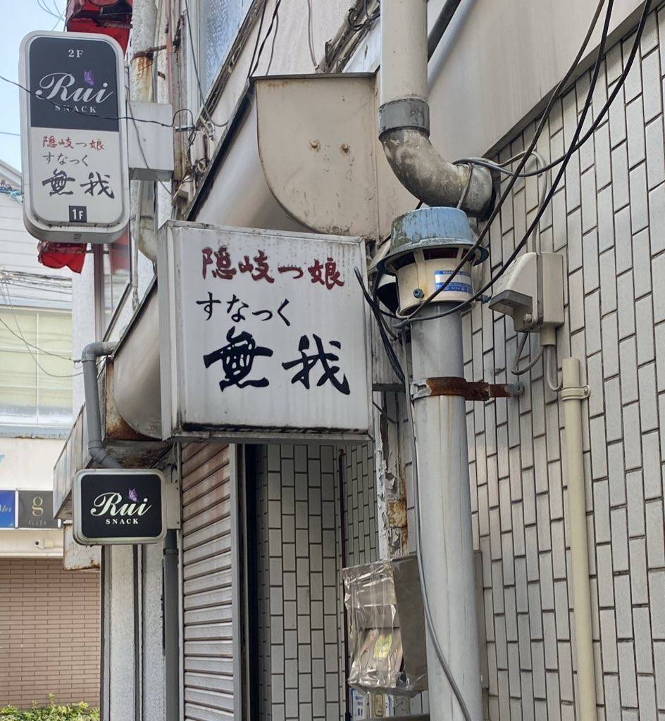 NAO(*´︶`*)╯♡ Zara Sandal with Nickel | Black – Well Heeled