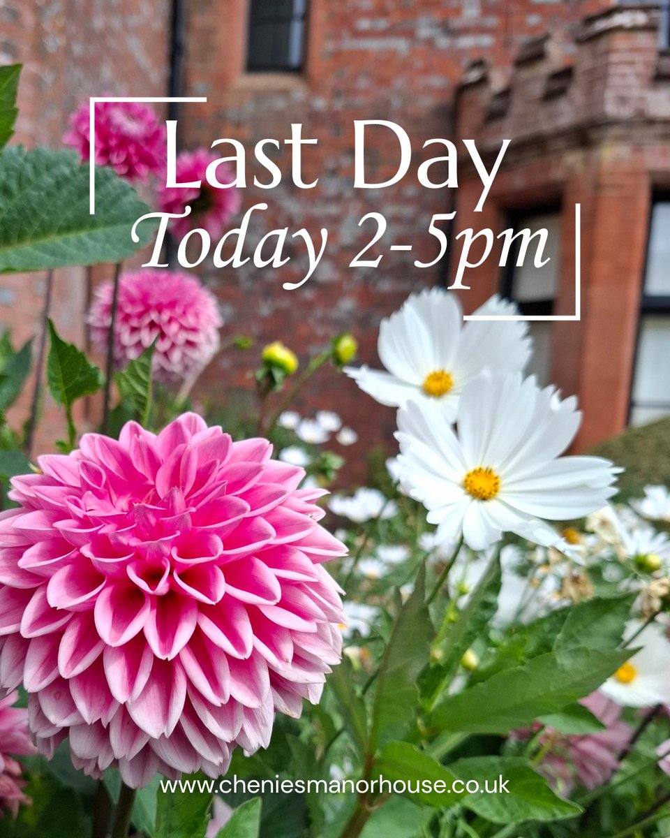 LAST DAY TO VISIT - Monday 27th OCTOBER

Today is the last day that we are open this season!
We are open from 2pm to 5pm.

Do come and see our beautiful gardens, still full of rich jewel-like colours.
Enjoy a cup of tea and some delicious cake, taking in the view