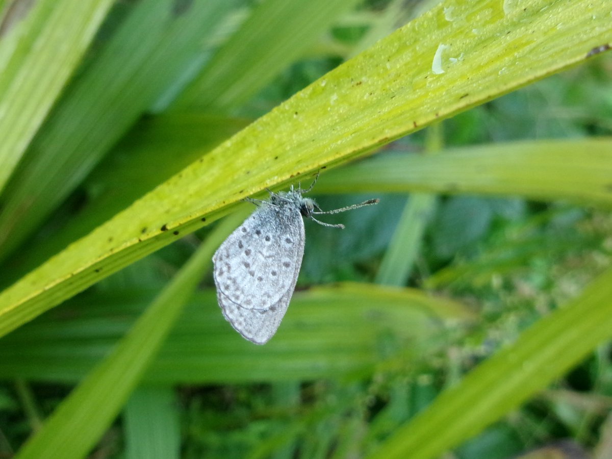 のりちゃん2 on X