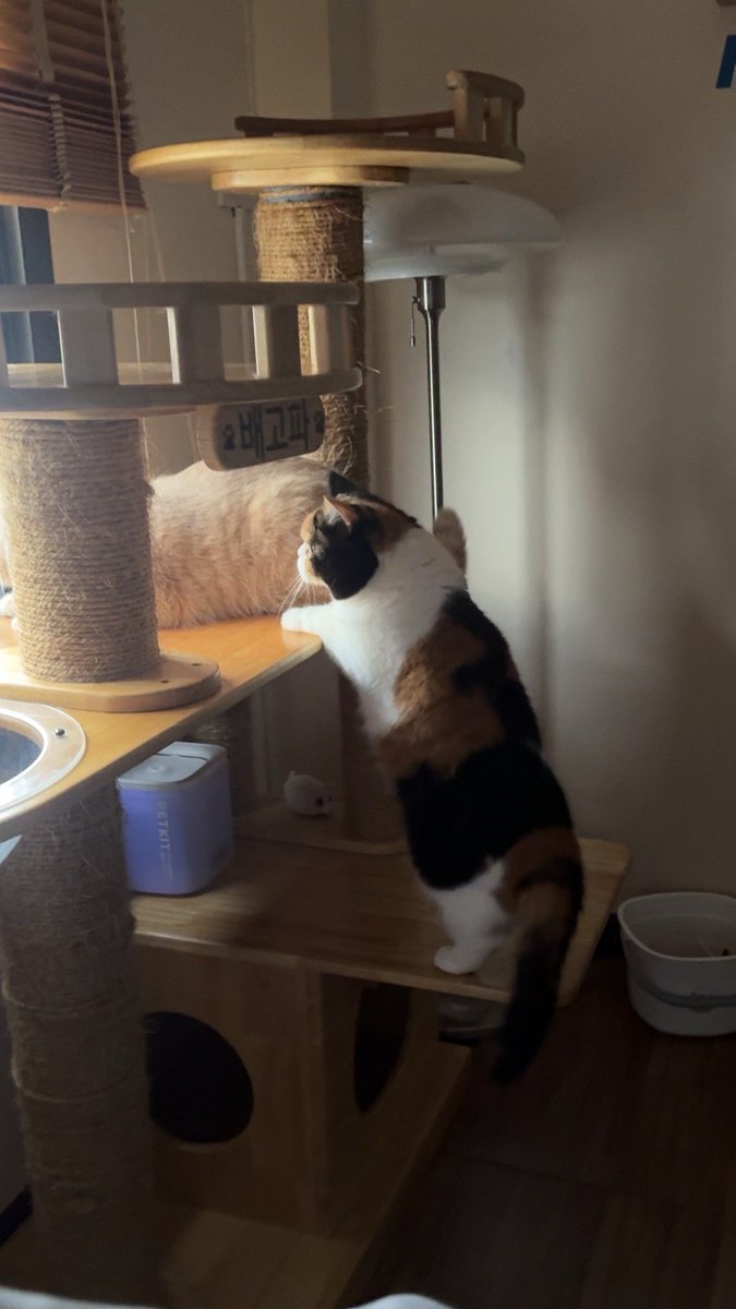 yayee2548's tweet image. ไม่รู้ทะเลาะอะไรกันเมื่อเช้า