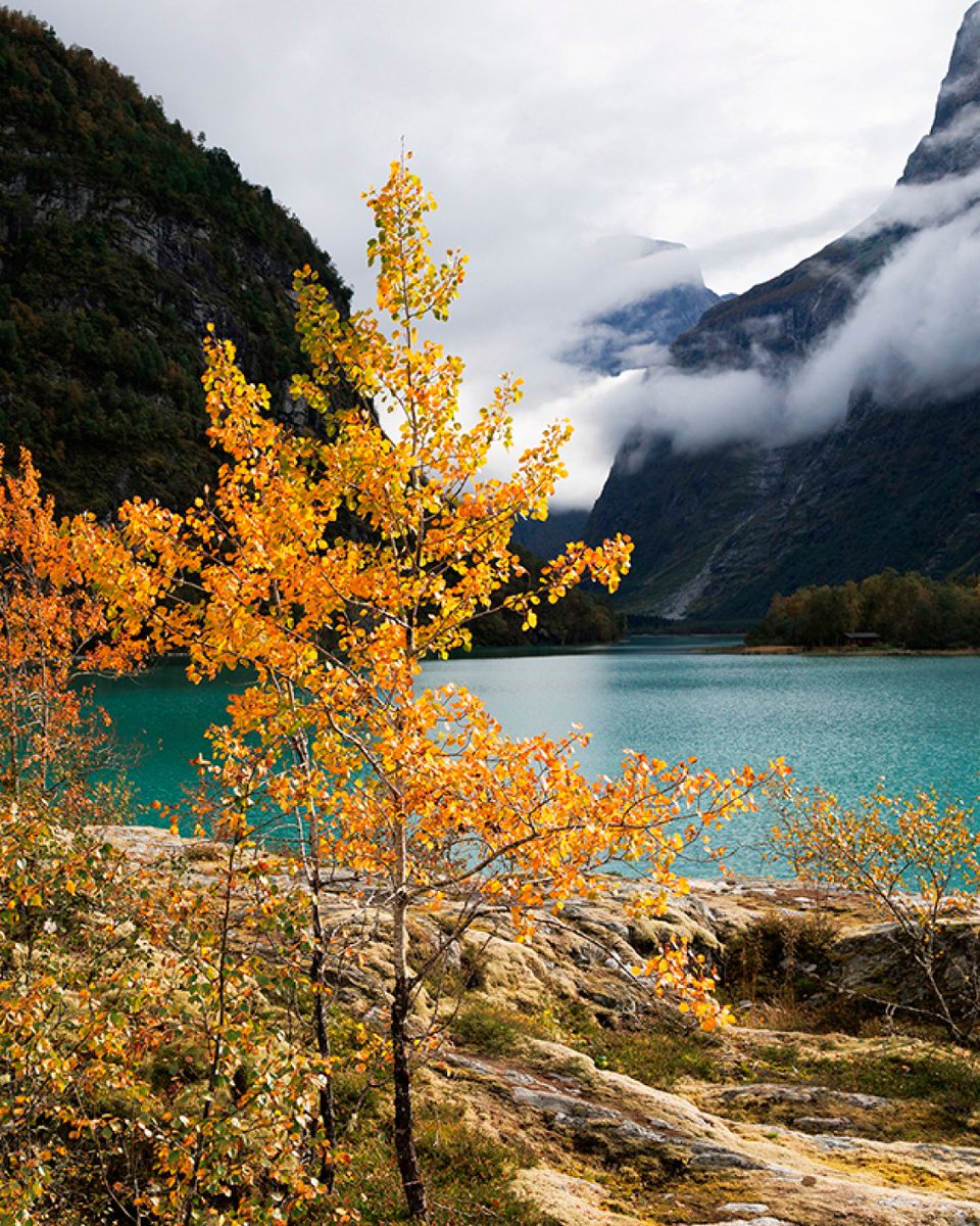 🍂 Llega el otoño: bosques, parques y lagos se llenan de color.
Captura la temporada con la calidad y versatilidad de los objetivos <a href="/TamronObjektive/">Tamron Europe GmbH</a> 

👉 Descubre cuáles son ideales para esta época:
robisa.es/objetivos-tamr…

#Tamron #FotografíaDeOtoño #ColoresDeOtoño