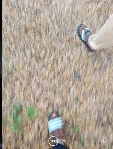 Collected proof of 7 years Journey at Probitas Doctrina.

No one saw me did it but <a href="/irys_xyz/">Irys (✧ᴗ✧)</a> 👀