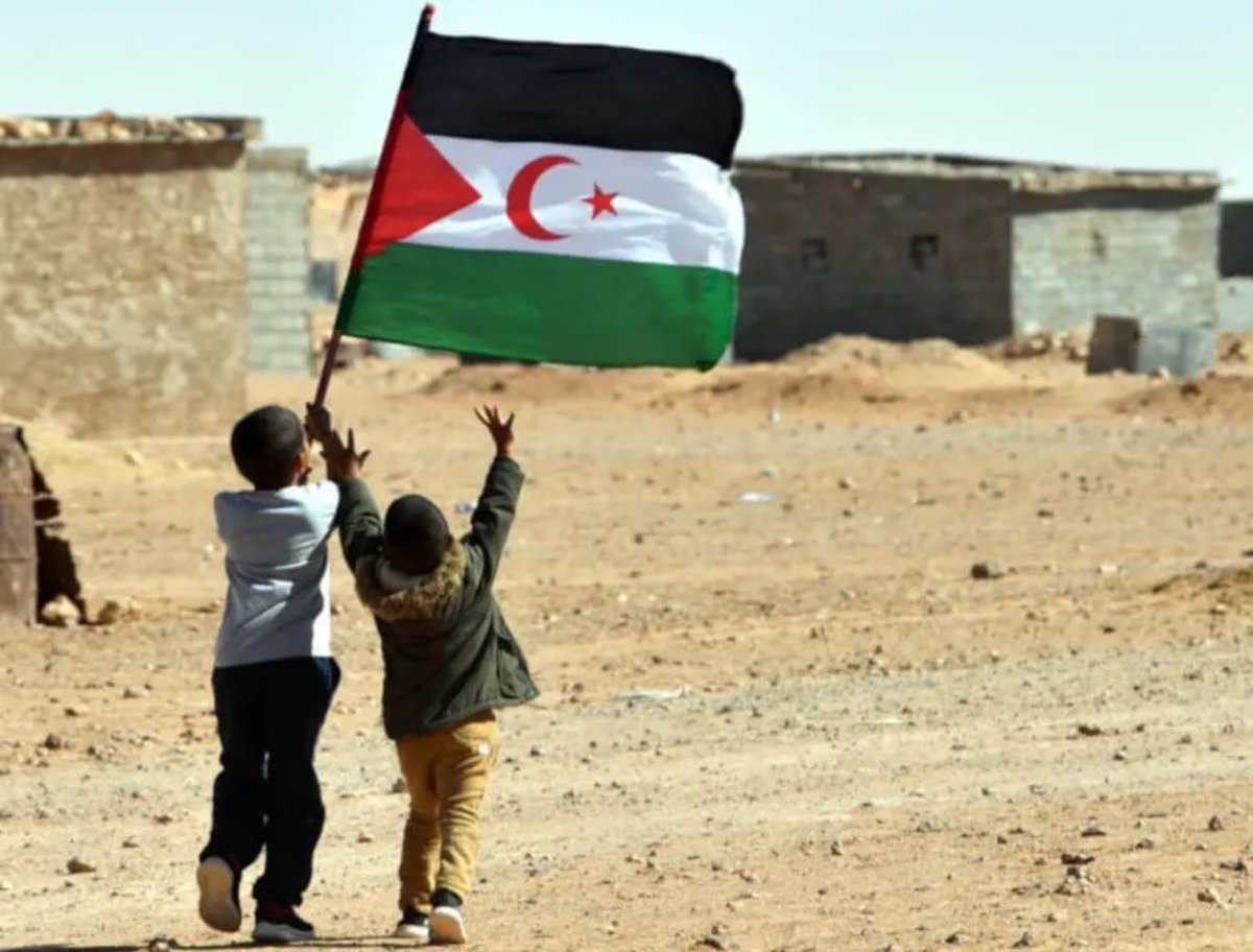 TalebSahara's tweet photo. ¡VIVA LA LUCHA DEL PUEBLO SAHARAUI! https://t.co/YXA3trucDx