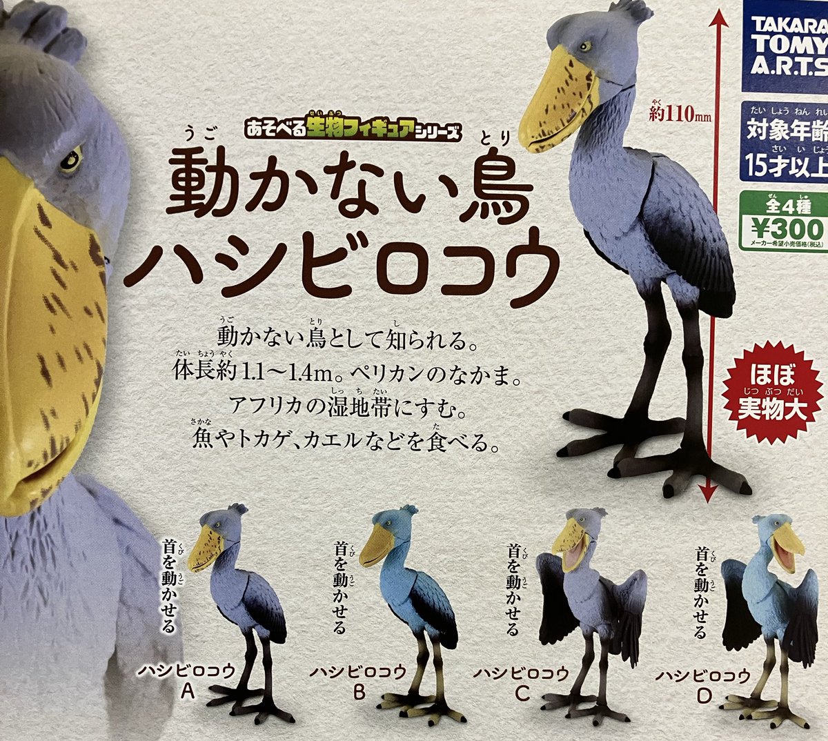 ドリームカプセル＠THE OUTLETS SHONAN HIRATSUKA on X