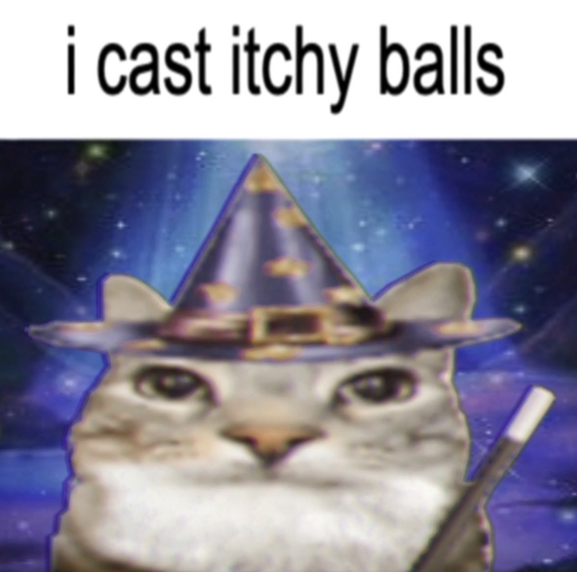 raccoon aesthetic. (@raccoonesthetic) on Twitter photo 