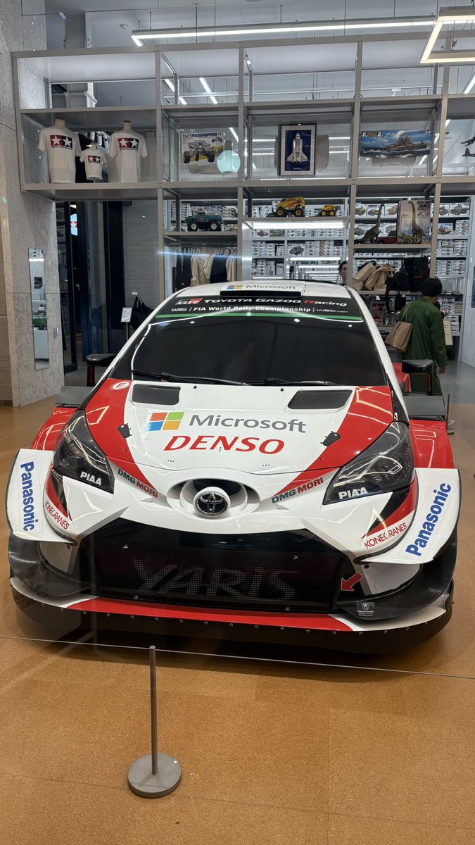 ニャン太 てっちゃん × 9090 Tiger-pattern Knit – YZ