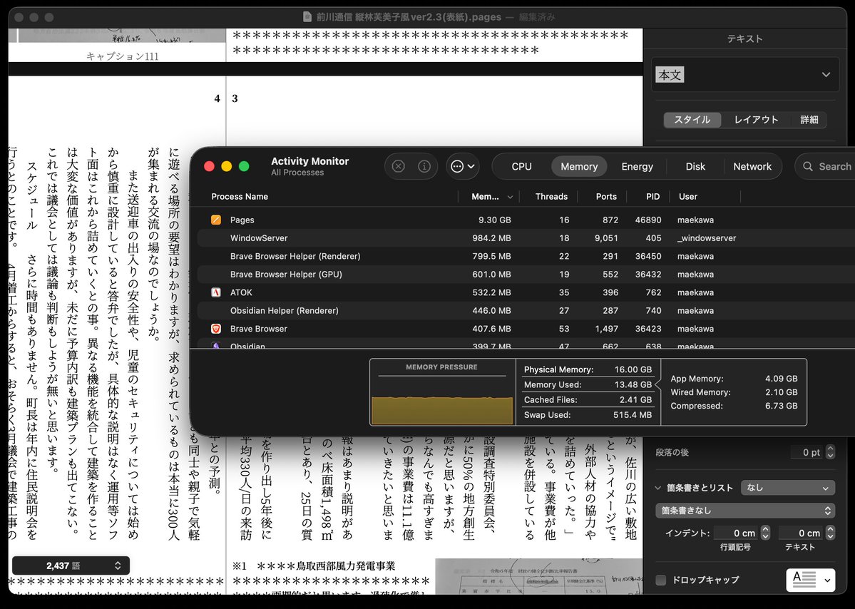 Mt79mkw's tweet image. Macのワープロソフト、Pagesが使いやすくて最高なのだが、これ何故こんなにメモリ占有するのだ？
放っておくと9GBとかなってる。何で　#pages