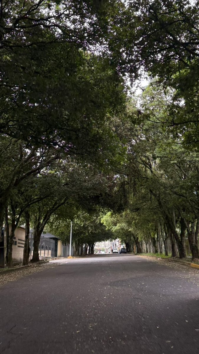 Desde un rincón del #Táchira le desean buen lunes.
