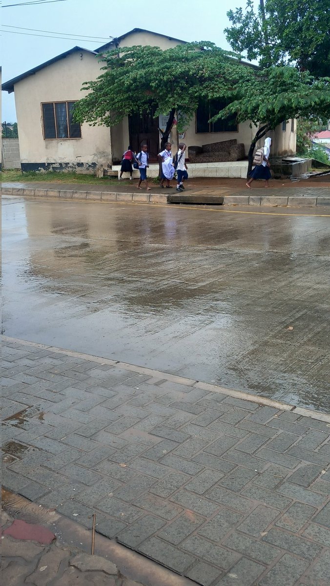 Watoto wa shule ya msingi kutembea kwenye mvua sio shida zao tena wanafurahi kuloana🤣🤣🤣