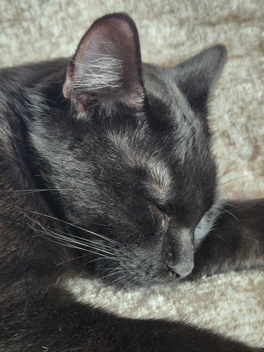 Ik vind het toch zo mooi dat alles aan haar zwart is, behalve haar oorpluis.