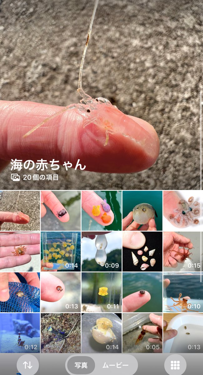 ぶんちゃんページ ぶんちゃん (@bunbunchans) / Posts / X