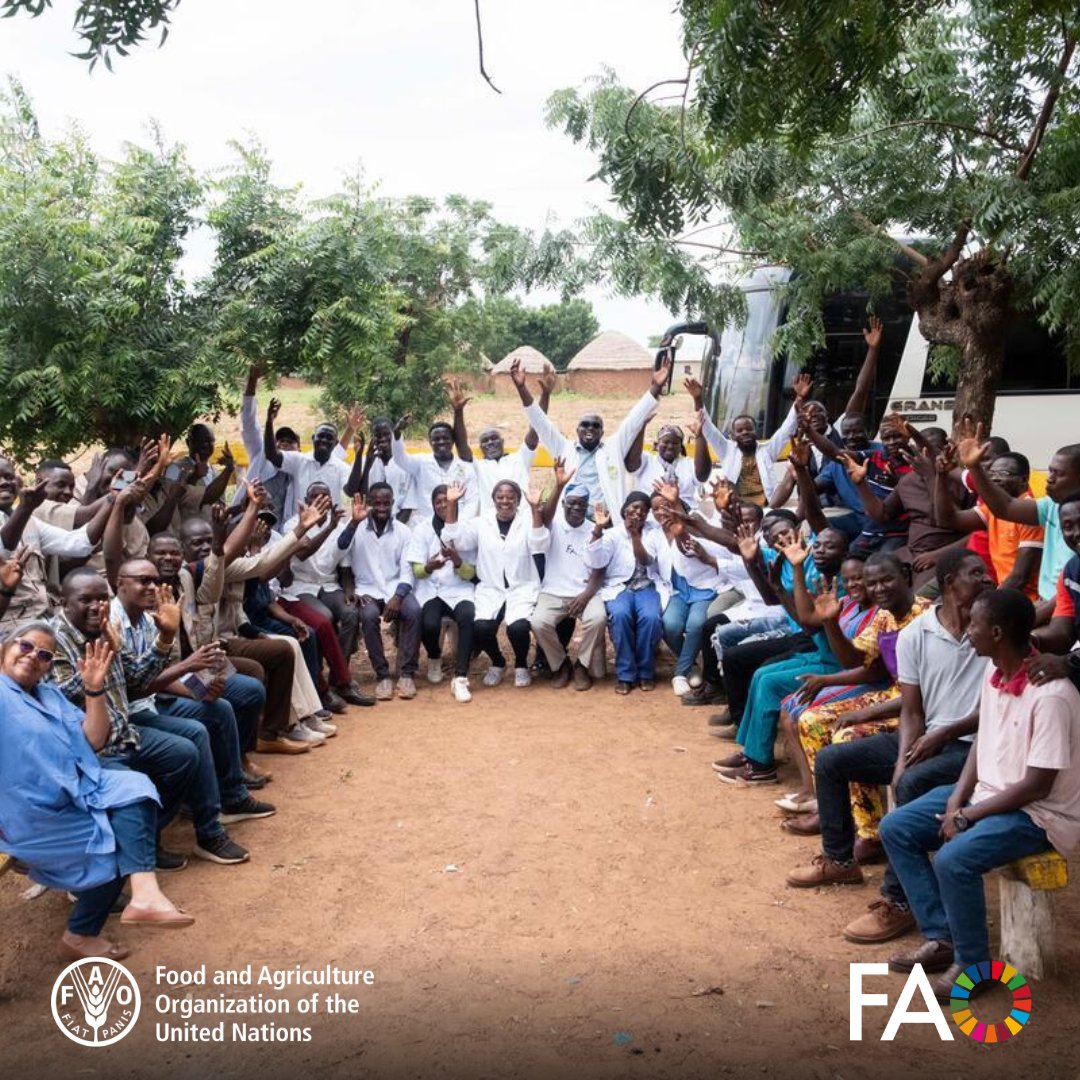 FAOAIMS's tweet photo. 🌍 Across Africa, researchers are generating vital knowledge to improve food systems and advance sustainable agriculture.

Through FAO AGRIS, institutions across the continent are boosting visibility via tailored capacity-development webinars.

🔗 https://t.co/ICNMNBi51M https://t.co/Gp9rDCZjXX