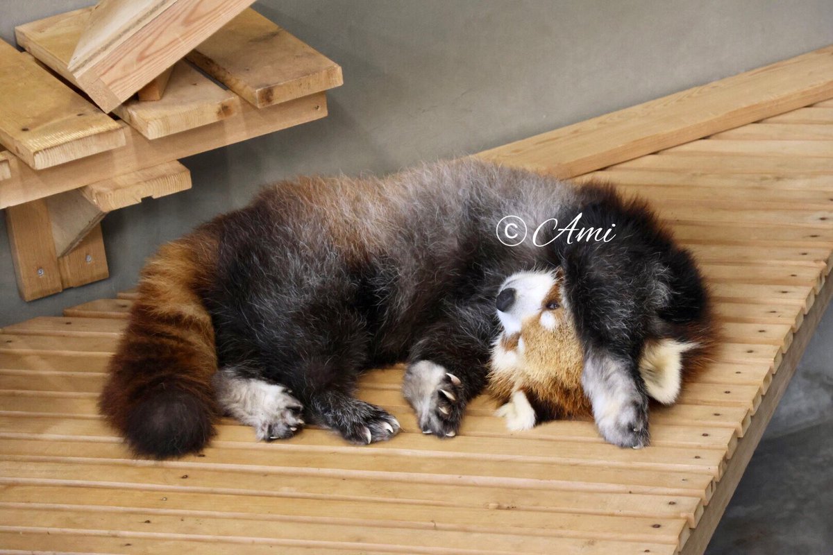 絵美ぼんページです アートクレヨン16色セット – 文化堂 │ Pentonote