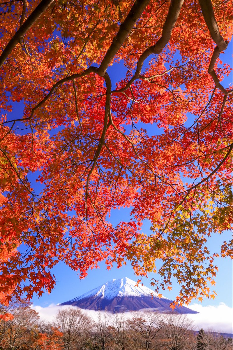 Satoshiの絶景 富士山✨🗻✨✨✨ (@fugaku_zekkei) / Posts / X