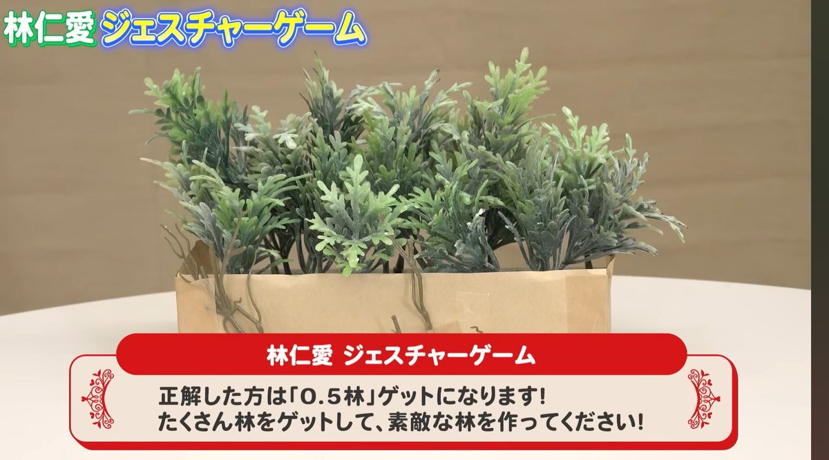 2個で林になるので
↑既におもろい