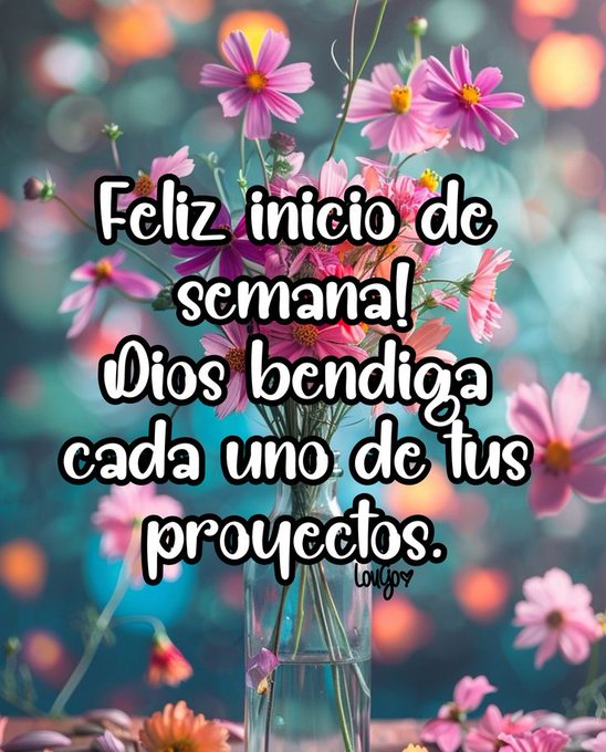 A glass vase holds a bouquet of fresh flowers featuring pink and orange daisy-like blooms with yellow centers. The background is softly blurred with warm orange and green bokeh lights creating a dreamy atmosphere. Bold pink text overlays the image stating Feliz inicio de semana with Dios bendiga cada uno de tus proyectos todos below noting some repeated letters in words.