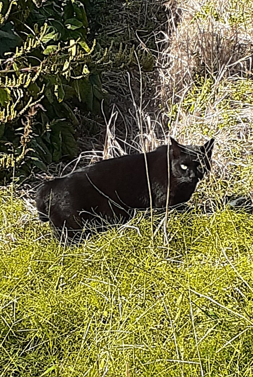 はるるん はるるん (@RNPrJ9xfX3PSoaA) / Posts / X