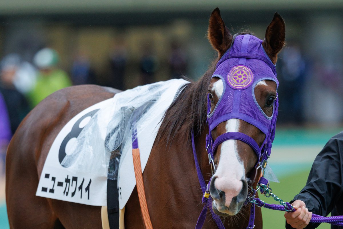 ［新品］馬と踊ろう Dancing with Horses 新品］馬と踊ろう Dancing with Horses Animatronic horses @ Tokyo