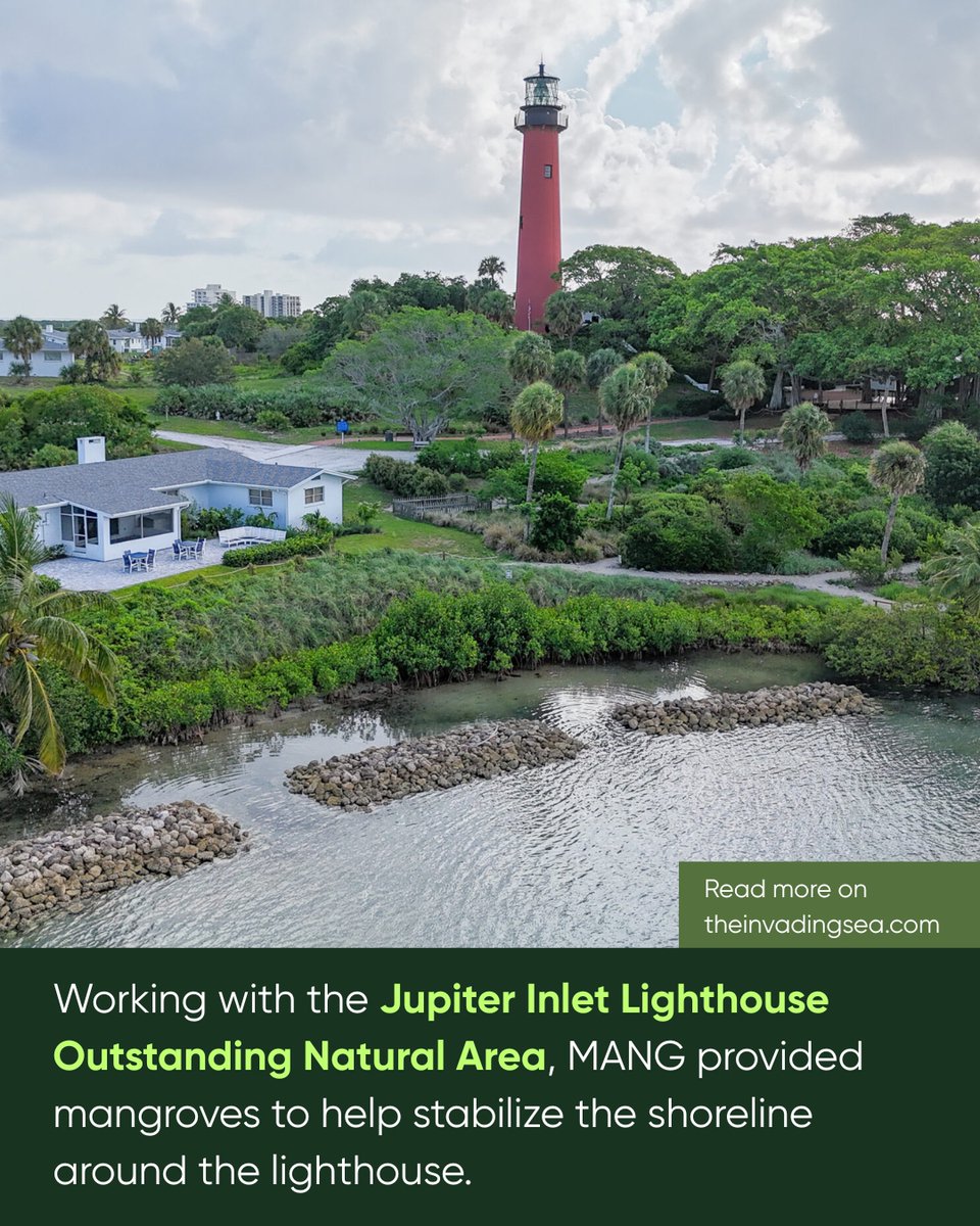 “We’re making sure that we’re doing everything we can to protect our beautiful ecosystem that we call home,” says Keith Rossin, co-founder of MANG, a South Florida-based apparel company that aids in mangrove conservation. Read more on theinvadingsea.com