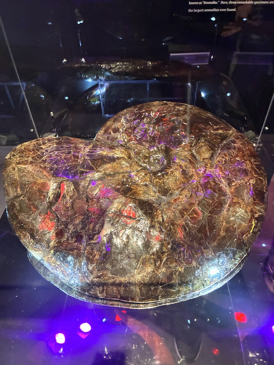 ❇最高の宝物♎天虹塔✨神聖物⭐チェッシー♉レクライ♋プラクルアン✨ The #1 Genesys Crystal Beast Deck! | MDPro3 🔥 - YouTube