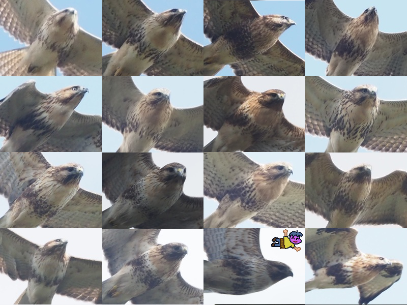 富士鷹なすび (@nasubifujitaka) / Posts / X