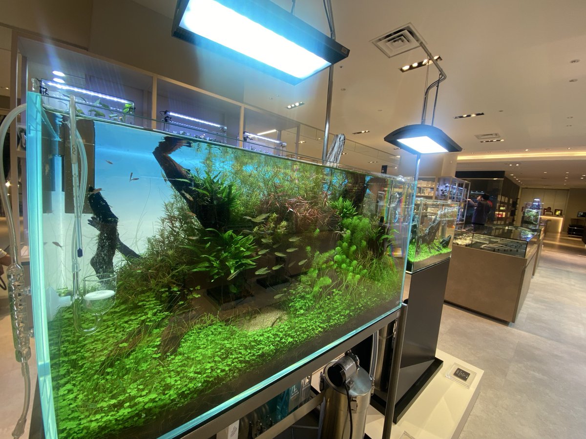 東京駅のADA LAB とても素晴らしい空間ですね……