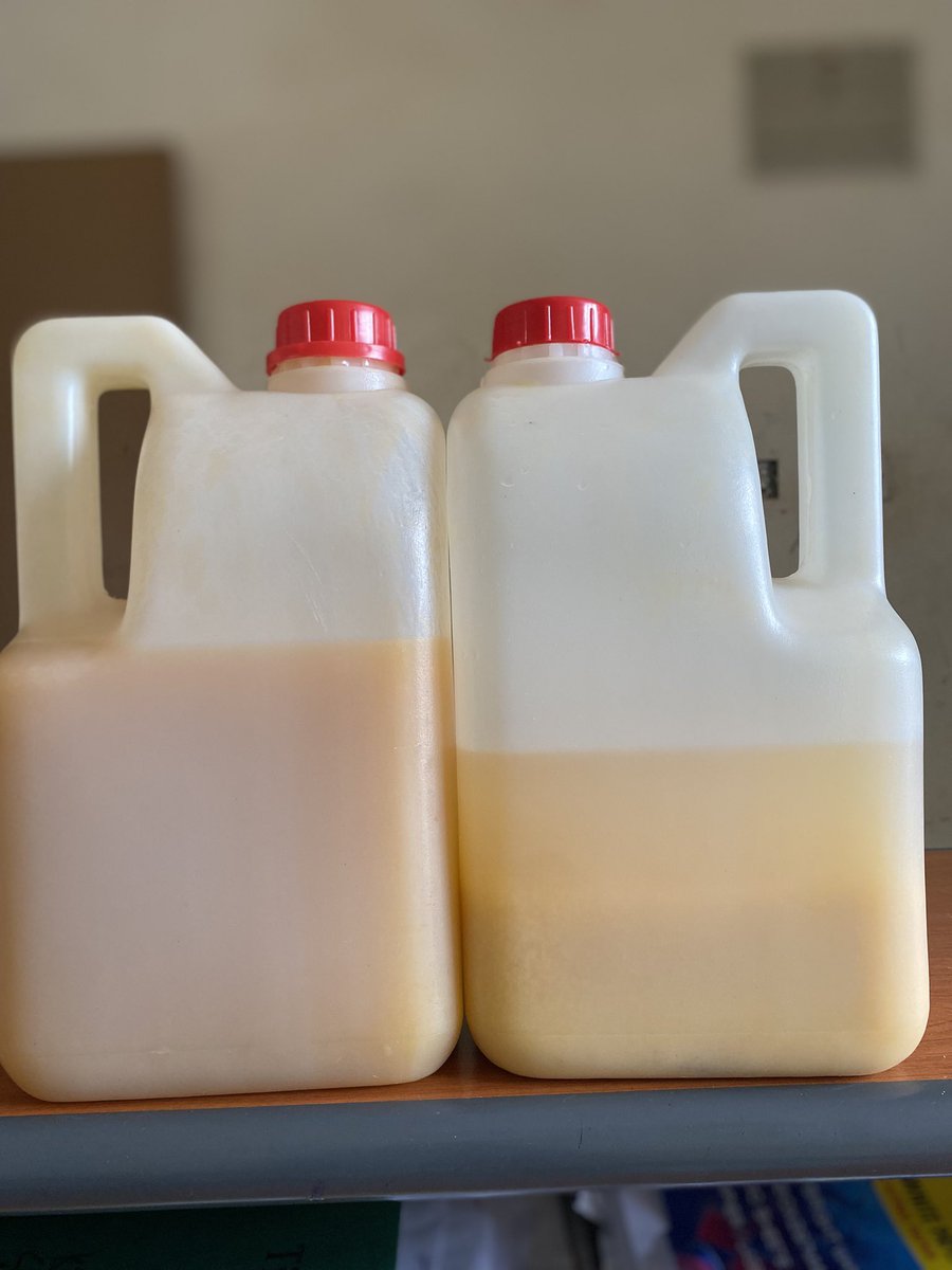 Bambi mugule juice🥹🙏 I need tution and stock for tomorrow 🧎🏿‍♀️
Who’s in mbarara town I deliver a glass?