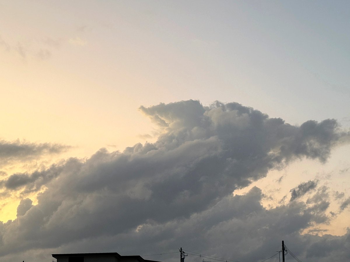 akiraaaaaart's tweet image. 夕暮れの豚☁️
#iPhone16Pro