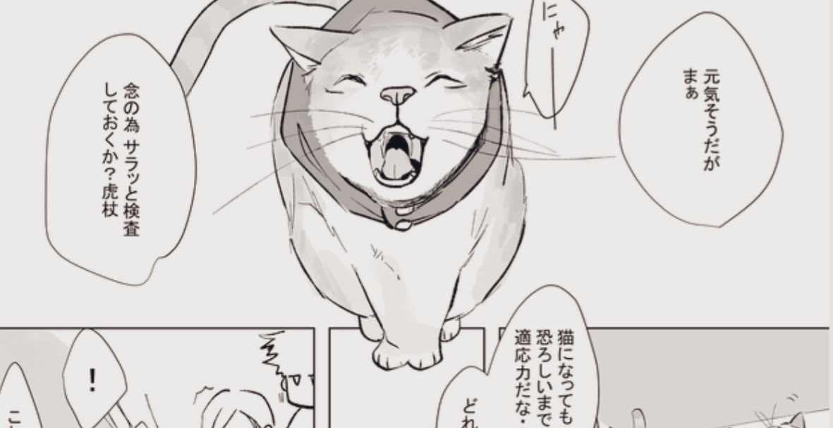 *:..にゃんまる❤様613 にゃんまる@毎日お絵かき７年目 (@nyanmaru1121) ⁄ Posts ⁄ X