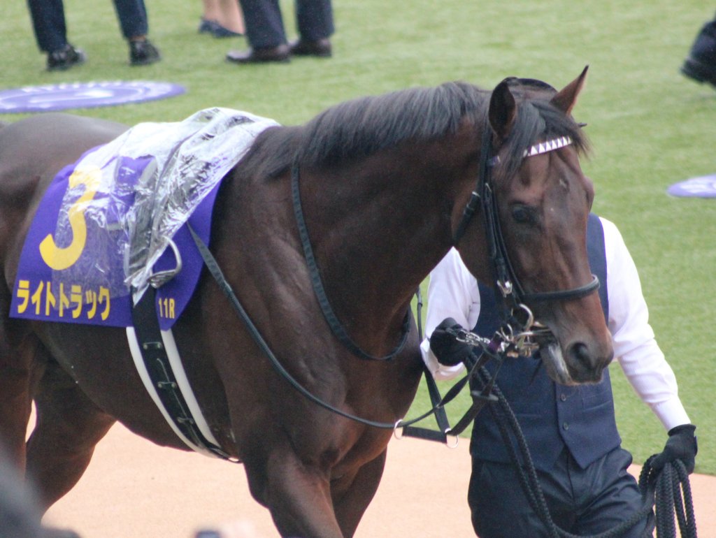 ［新品］馬と踊ろう Dancing with Horses むう ☾ᐝ on X