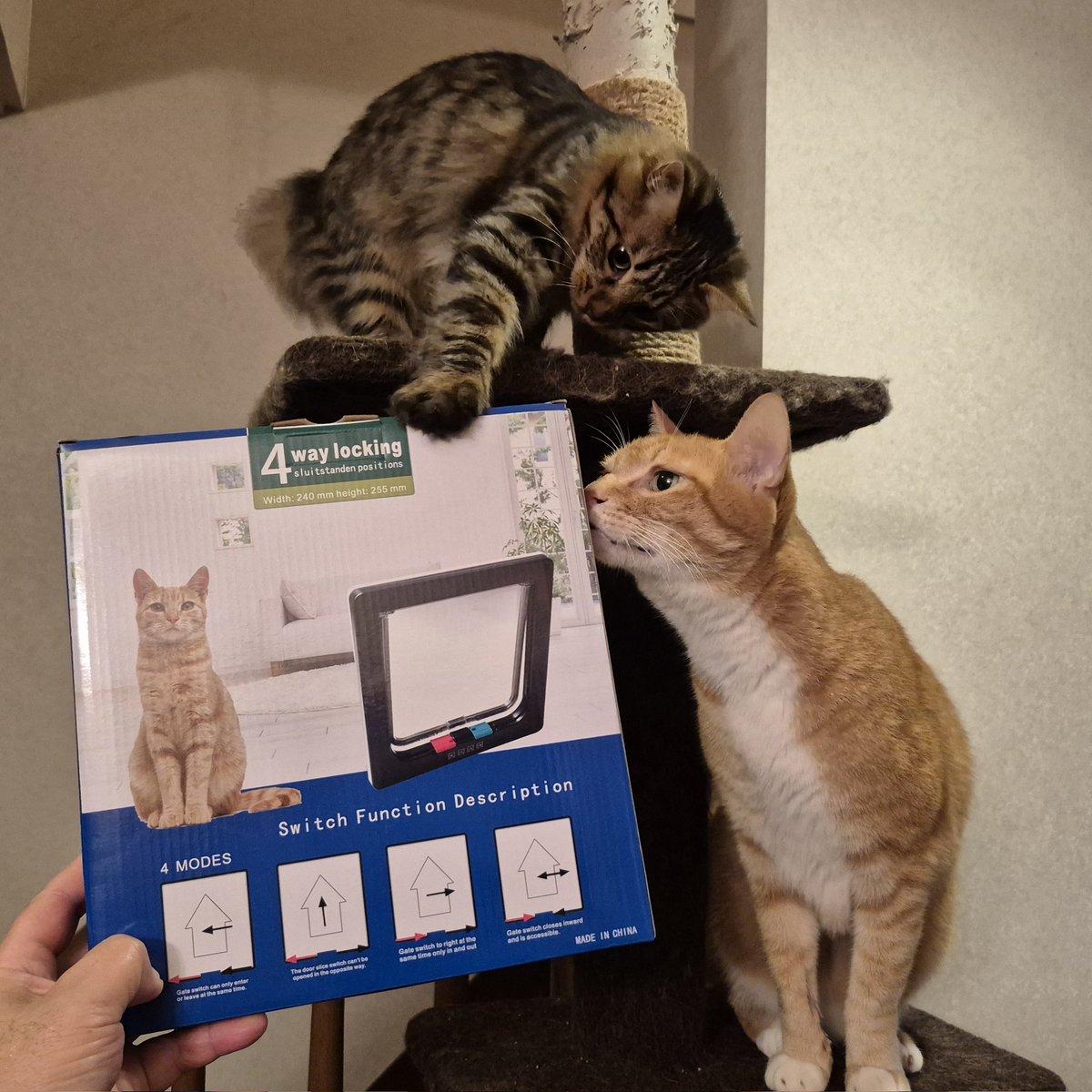 一閑張り（猫） 楽天市場】猫柄 がま口財布 長財布 aoneco アオネコ 日本製