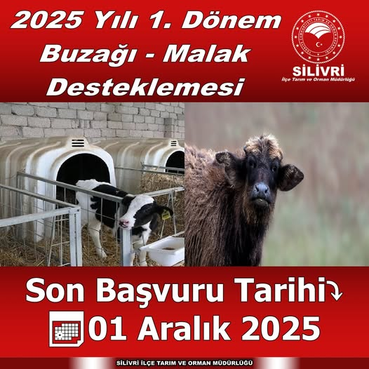 ‼🐃🐄2025 YILI 1.DÖNEM #BUZAĞI / #MALAK DESTEKLEMESİ🐄 🐃‼

📎facebook.com/silivri.tarim/…

<a href="/SilivriTarim/">Silivri İlçe Tarım ve Orman Müdürlüğü</a> 
<a href="/isttarimorman/">İstanbul İl Tarım ve Orman Müdürlüğü</a> 
<a href="/TCTarim/">T.C. Tarım ve Orman Bakanlığı</a> 
<a href="/TR_HAYGEM/">Hayvancılık Genel Müdürlüğü</a>