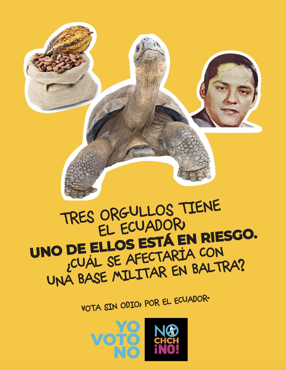 Tenemos muchas razones por las que orgullosamente decir !"SOY DE ECUADOR"!

Aquí, tres de las más bacanes, 🍫🎼🐢pero lamentablemente hay una que podría estar en riesgo con la reinstalación de una base militar en su hogar.

¿Porqué empeñarnos en destruir uno de nuestros mayores
