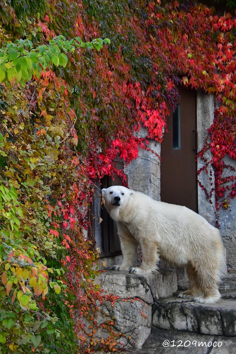 一番人気❗️今月ラス2❕️手作り額付き銅版画応用絵画　「きらめきニャンコ」 額付き銅版画応用絵画 title「未来ニャンコ」 手作額付き銅版画