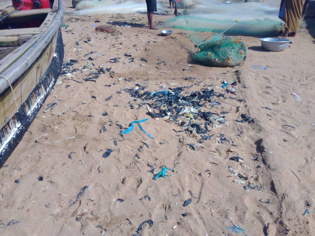 Monsieur Vick tweet media