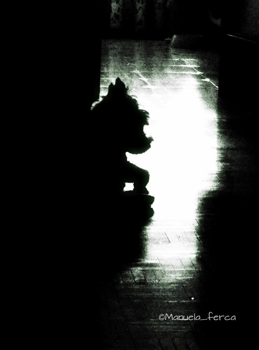 27 de octubre, día para recordar a nuestras mascotas, a las que ya cruzaron el arcoiris...
#DíaMascotas 

Hablo con mi perro a todas horas, él me responde.
Yo a él no le entiendo, él a mí sí.
Yo soy más torpe que él.
©Manuela_Ferca