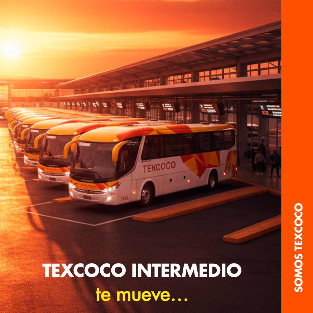 🚌 ¿Viajas seguido?
Con Texcoco Intermedio tienes numerosas corridas al día para que elijas la que más te acomode ⏰
Pásale a la taquilla y compra tu boleto. ¡Así de fácil! 😉
#TexcocoParaTi #BeneficiosTexcoco