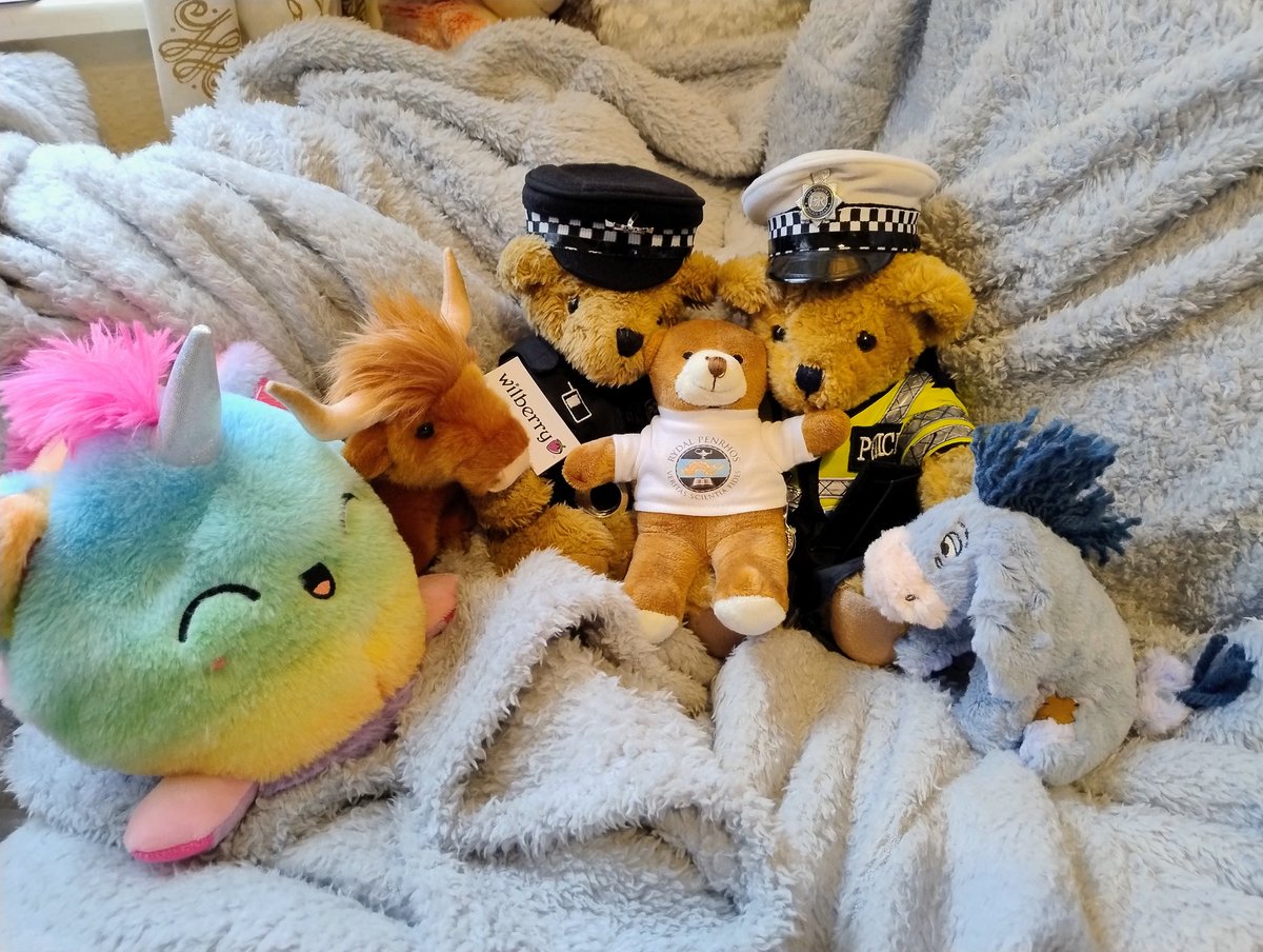 Sgt Russ 🐻 MPB Ambassador tweet media