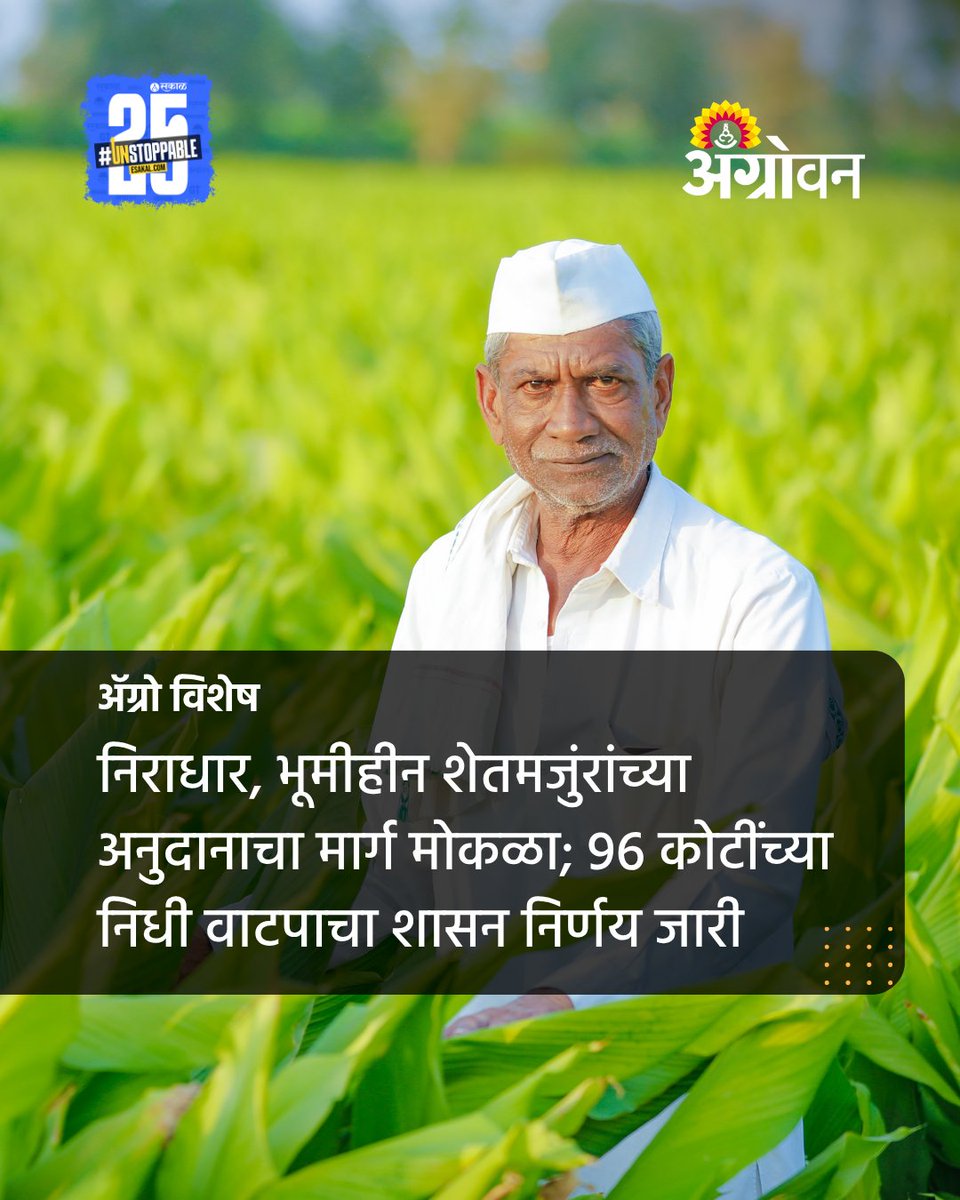 AGROWON's tweet photo. राज्यातील संजय गांधी निराधार योजना आणि वृध्द भूमीहीन शेतमजुरांच्या अनुदानाचा मार्ग मोकळा झाला आहे. सप्टेंबर ते ऑक्टोबर 2025 या कालावधीसाठी सुमारे 96 कोटींच्या निधी वितरीत करण्यात आला आहे.
#RuralWelfare #LandlessLabourers #AgricultureSupport #SanjayGandhiNiradharYojana https://t.co/ivspnUq84w