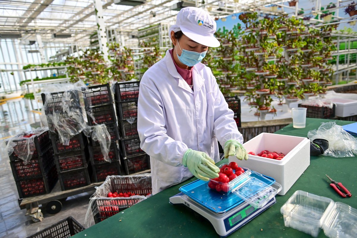 XinhuaUrdu's tweet image. چین نے حقیقی معیشت کی حمایت، تکنیکی اختراع اور چھوٹےکاروباروں کی مالی معاونت کے فروغ کے لیے مالی خدمات بڑھانےکا اعلان کیاہے۔#ChinaEconomy #FinanceReform
xhtxs.cn/7Mh