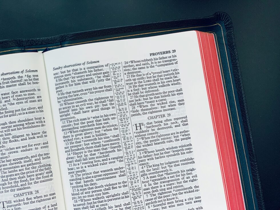 JDSWebDesignLLC's tweet image. #DailyBlog #EntrepreneurLife #WordPress #Letsgo 

What are 4 Quality ClickFunnels Alternatives to Help You Build Better Sales Funnels?
jdswebdesign.com/what-are-4-qua…