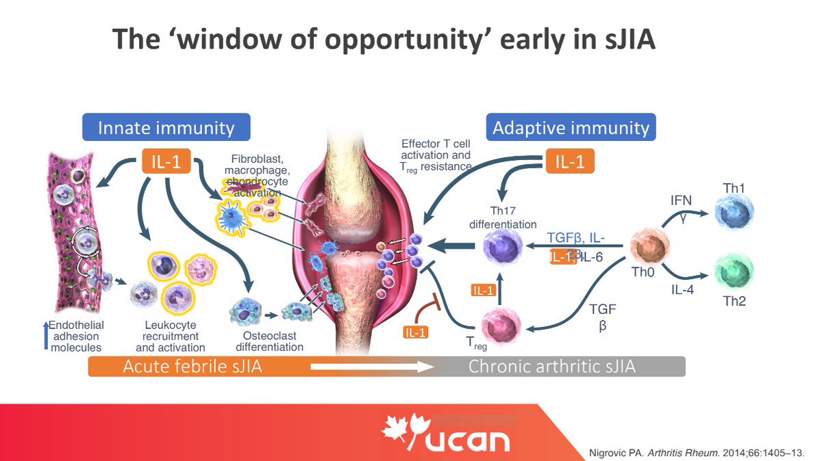 Erin Tree, DO tweet media