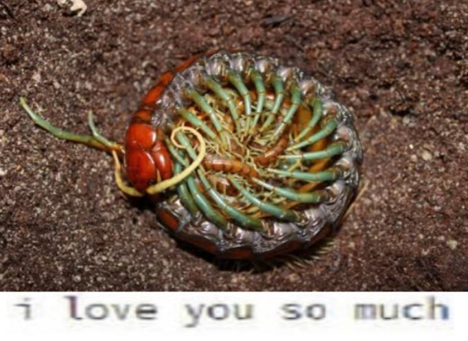 Shadoo_creeture's tweet image. 