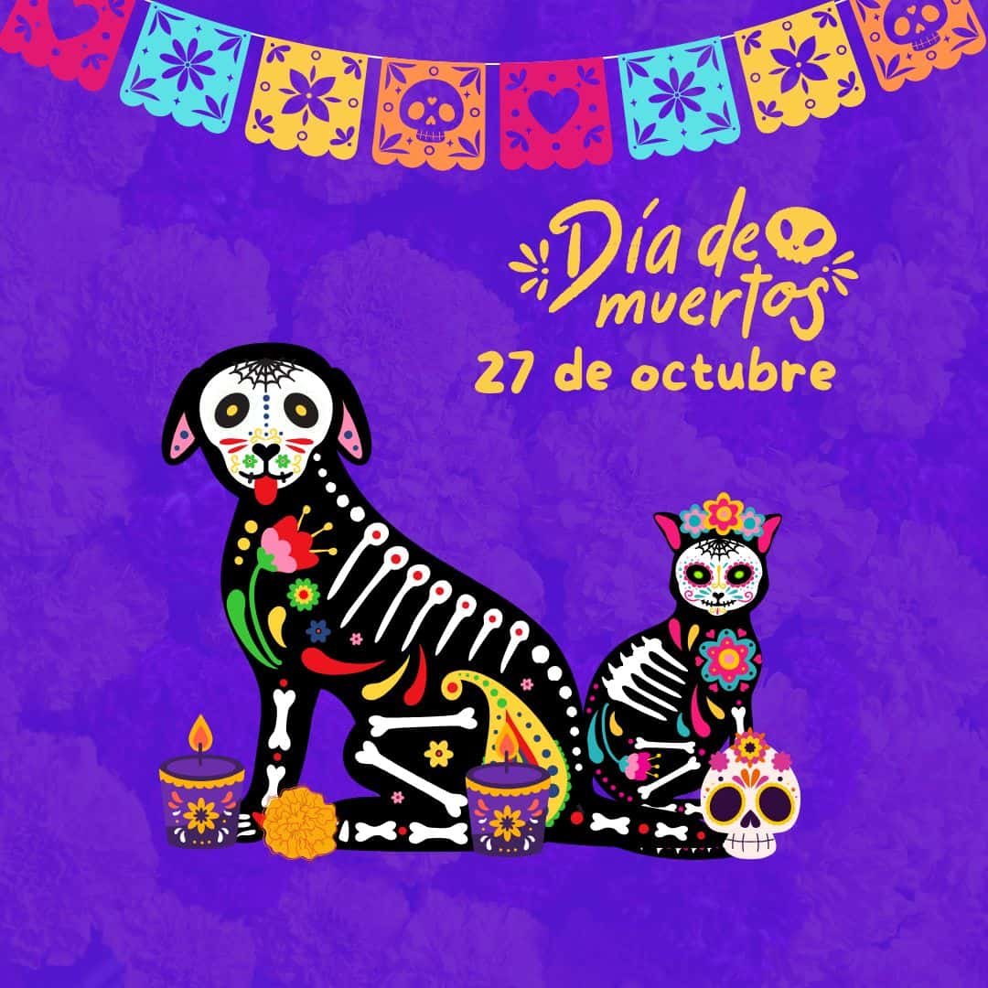 Diego_PalermoB's tweet photo. Hoy es el día en que nuestras #mascotas regresan a casa a visitarnos desde el más allá no olviden colocar sus ofrendas y si es posible su plantita de #cempasuchil y unas velitas para que su corta venida sea hermosa #Lunes #27octubre #27october https://t.co/WtFDeO9Ox9