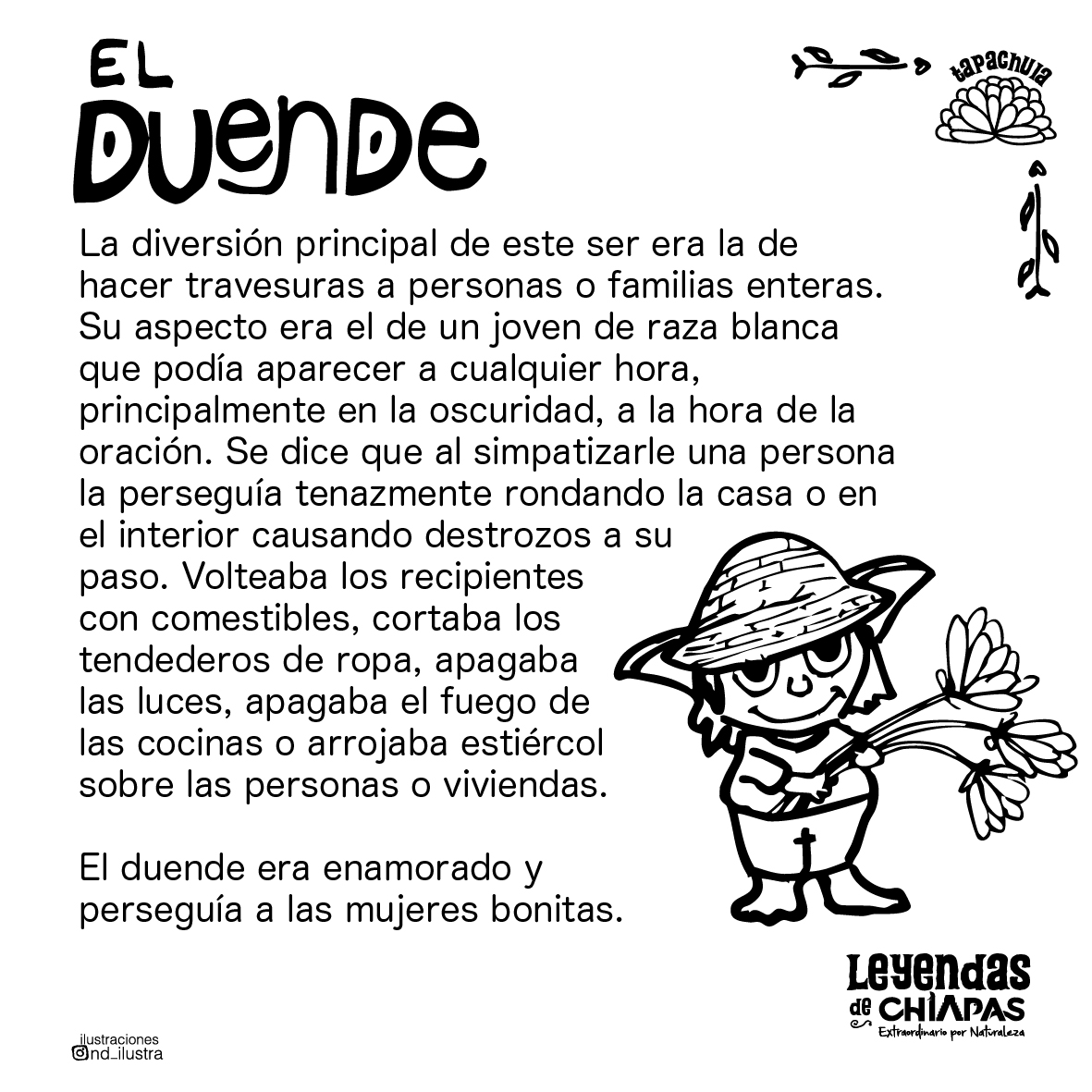 En #Tapachula, el Duende es travieso, enamorado y a veces cruel.
Desordena las casas, apaga las luces y roba corazones sin permiso.
Dicen que quien conoce su oración, puede librarse de su encanto. 🌾
#LeyendasDeChiapasExtraordinarias #DíaDeMuertosEnChiapas